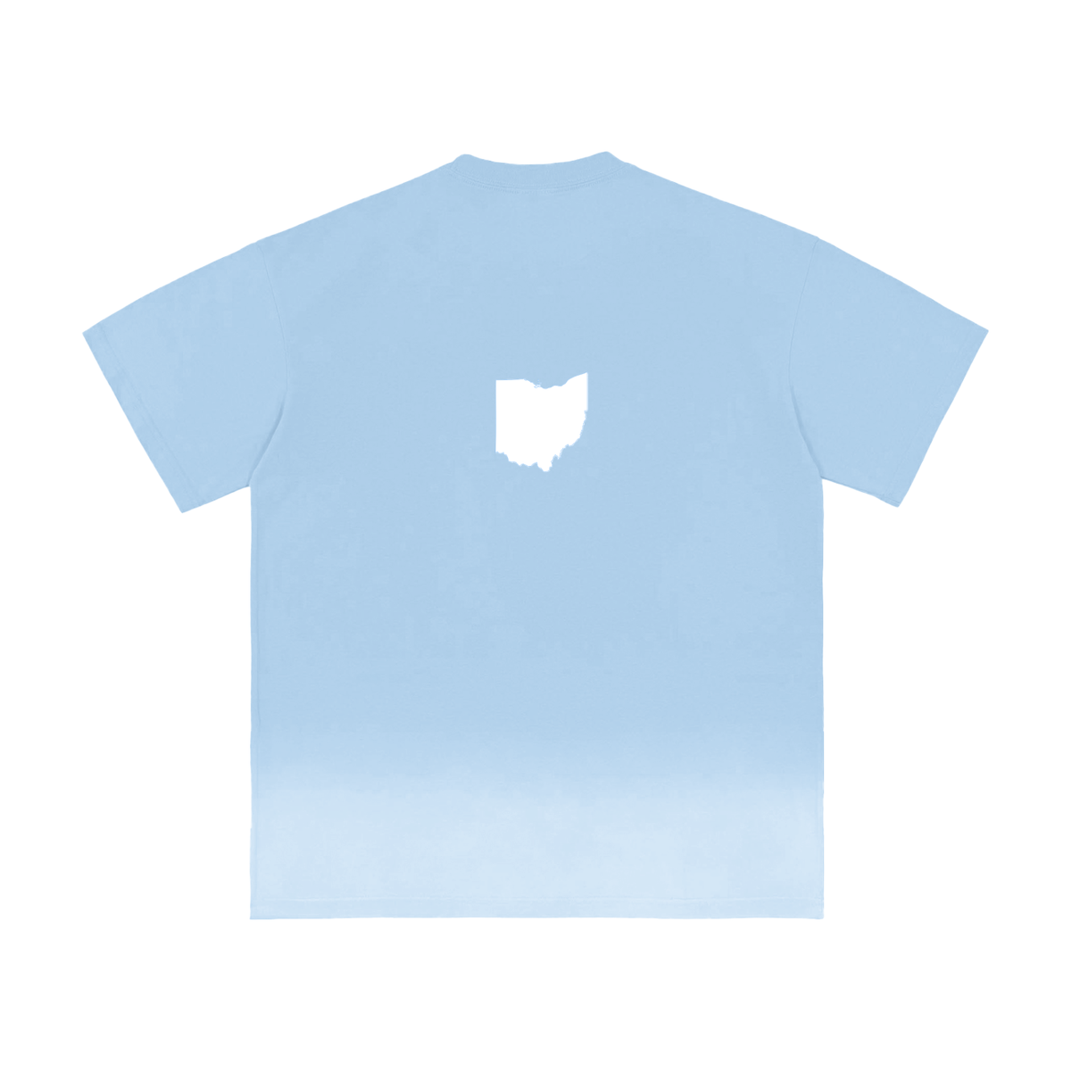 OhioStayConnected-Sunfade Vintage Washed T-Shirt