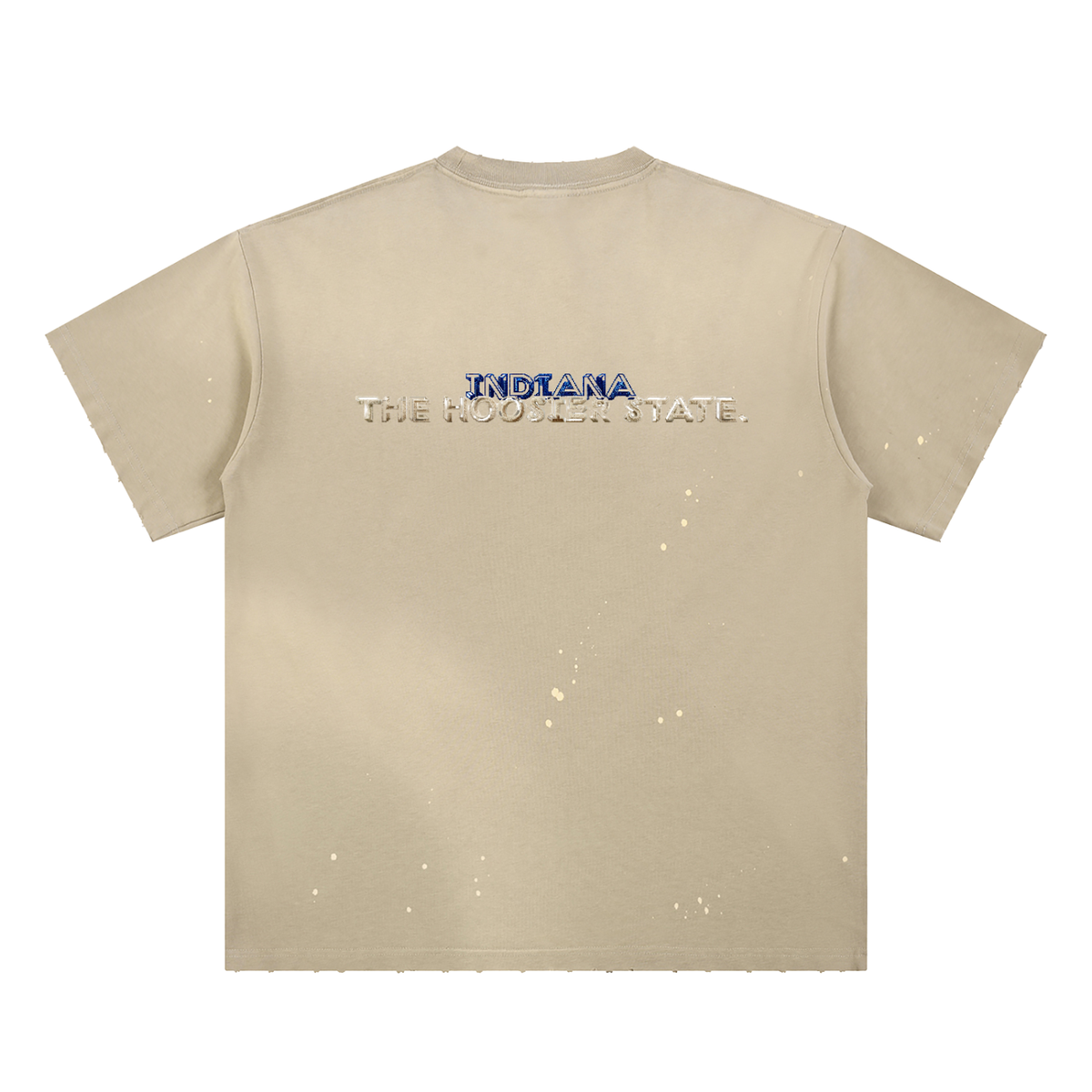 IndianaAreacode-Hand-Frayed Sunfade Paint Splatter T-Shirt